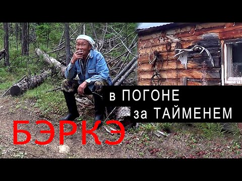 Видео: В ПОГОНЕ за ТАЙМЕНЕМ. Продолжение.