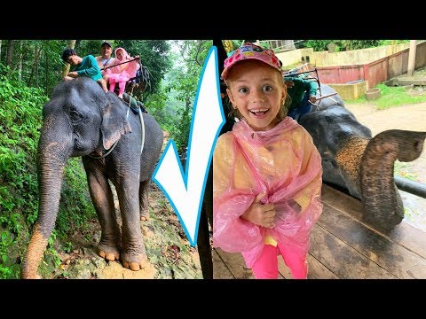 Видео: Настя и Саша кормят и катаются на СЛОНАХ Почему мы все промокли в Джунглях Влог