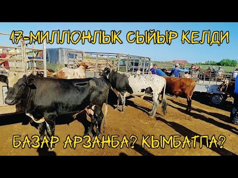 Видео: 23-Июнь 2024 Шымбай мал базар Ат базар Кой ешки базар бахалары тамаша етемиз #Шымбаймалбазар