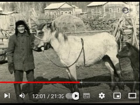 Видео: "Дьанхаады 300 сыла" 2010г.