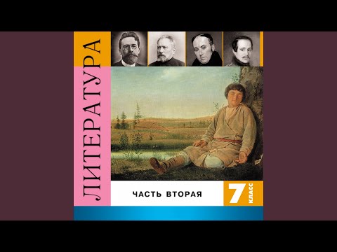 Видео: О чём плачут лошади