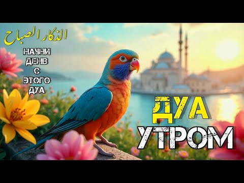 Видео: 📿 Дуа утро أذكار الصباح защитить вас вес день! Утренний дуа каждое утро!