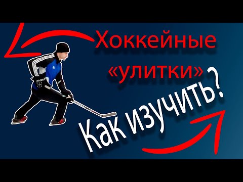 Видео: Улитки для начинающих. Часть 1.