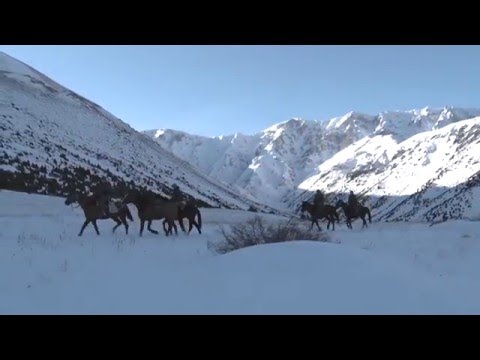 Видео: Заповедники Казахстана. Аксу-Джабаглы