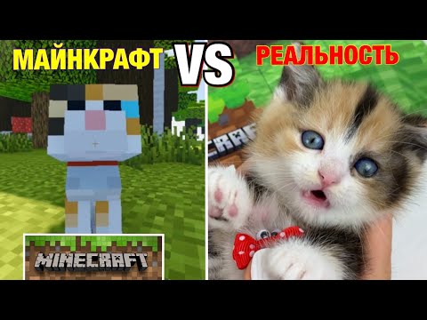 Видео: МАЙНКРАФТ VS РЕАЛЬНАЯ ЖИЗНЬ 🙀