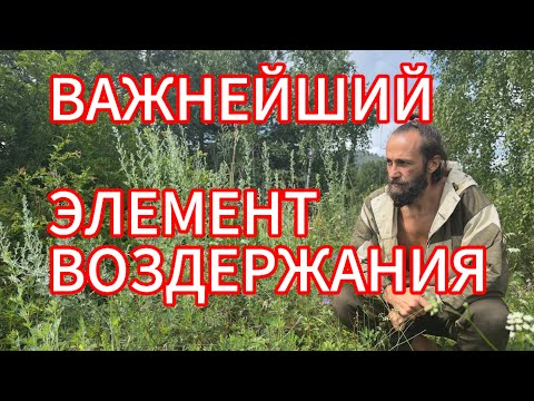 Видео: Работа с сознанием во время практики Воздержания☯️ Метод древних мудрецов🔥