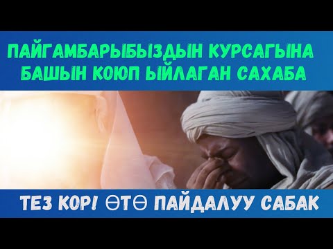 Видео: ТЕЗ КОР! ПАЙГАМБАРЫБЫЗДЫН КУРСАГЫНА БАШЫН КОЮП ЫЙЛАГАН САХАБА ЖОНУНДО//АХМАТАЛИ ДАМЛА