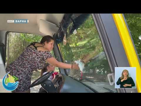 Видео: ГИМНАЗИСТИТЕ ОТ СУВОРОВО - С АВТОБУС КЪМ МЕЧТИТЕ