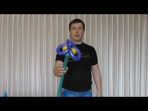 Видео: Ирис из шдм