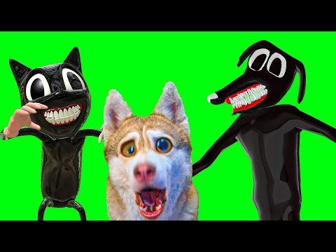 Видео: ХАСКИ БУБЛИК ВСЕ SCP СЕРИИ ПОДРЯД!! (Хаски Бублик) Говорящая собака