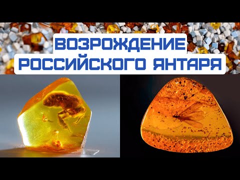 Видео: ЯНТАРЬ: добыча и переработка «СОЛНЕЧНОГО КАМНЯ»