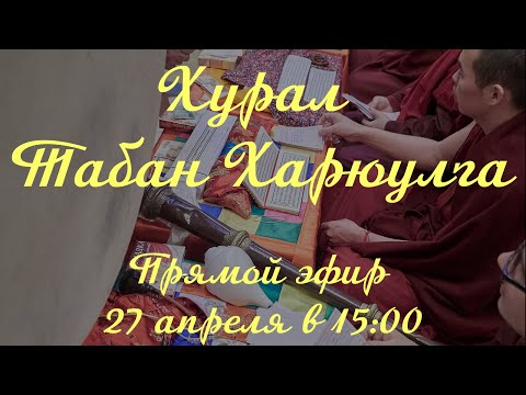 Видео: Хурал Табан Харюулга