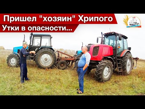 Видео: ЛеонидОвич пашет с нами на трех МТЗ. Еще один ХТЗ встал. "Хватит портить дороги"!