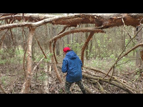 Видео: С ПАЦАНАМИ ПО ГРИБЫ В ЛЕС! Напилили и сделали забор на огород!