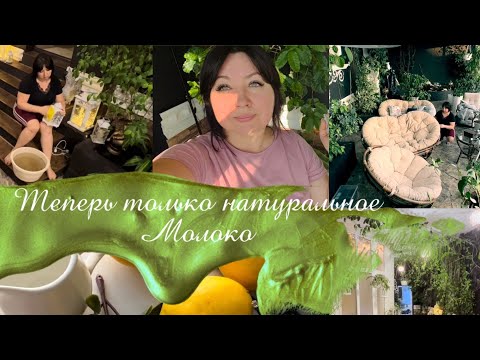 Видео: Генеральная уборка. Мой зимний сад.