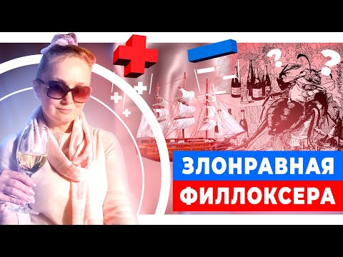 Видео: Злонравная филлоксера. Негрустная история о том, как мелкий вредитель погубил все виноградники мира.