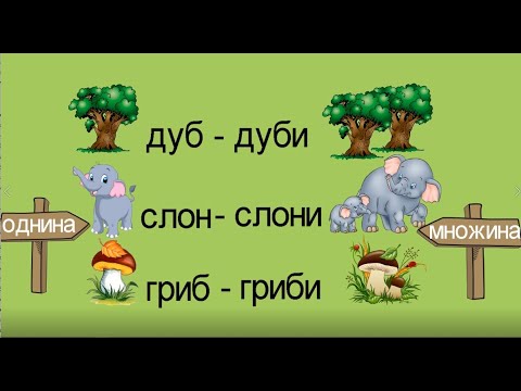 Видео: Відеоурок: іменник як частина мови (І частина)