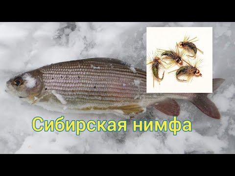 Видео: Уловистая мушка. Сибирская нимфа. Мушка на Хариуса.