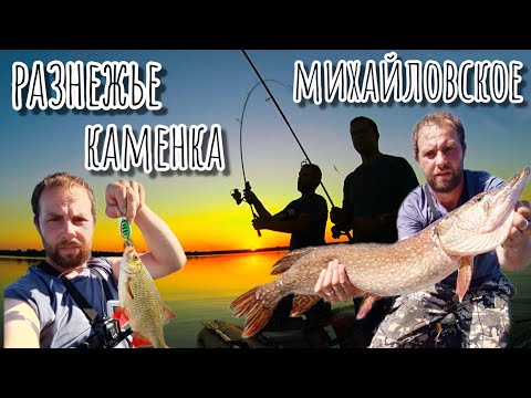 Видео: Рыбалка на Чебоксарке в акватории Каменка-Разнежье-Михайловское.