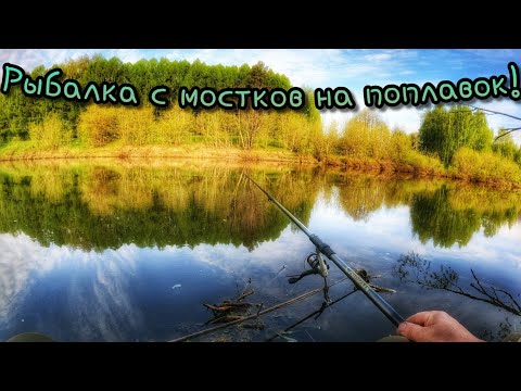 Видео: РЫБАЛКА У ДОМА!ТРОФЕЙ С ПЕРВОЙ ПРОВОДКИ!