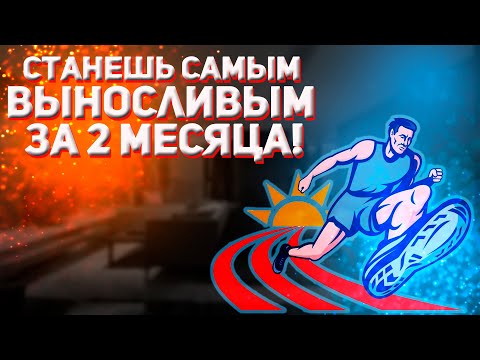 Видео: Выносливость. Как развить выносливость быстро! #выносливость #Селуянов #Митохондрии