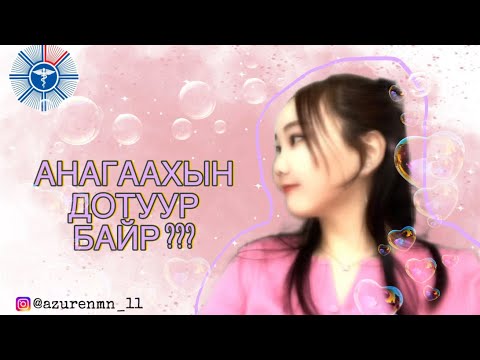 Видео: 📌🏫ДОТУУР БАЙРНЫ ТУХАЙ ЯРИЛЦЪЯ❓ ЦАРАЙ МУУТАЙ ВЛОГ🥱