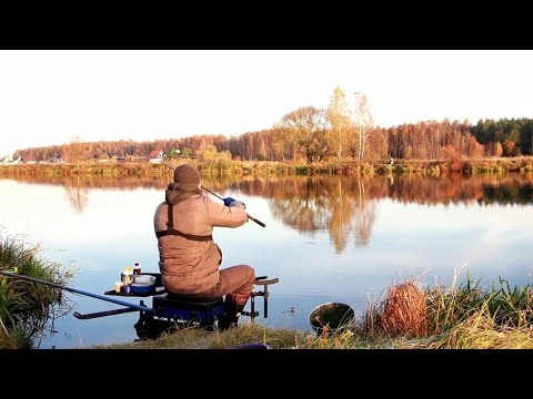 Видео: РЫБАЛКА НА РЕКЕ Мухавец! Ловля на ФИДЕР поздней Осенью! РЫБАЛКА 2021 ФИДЕР!