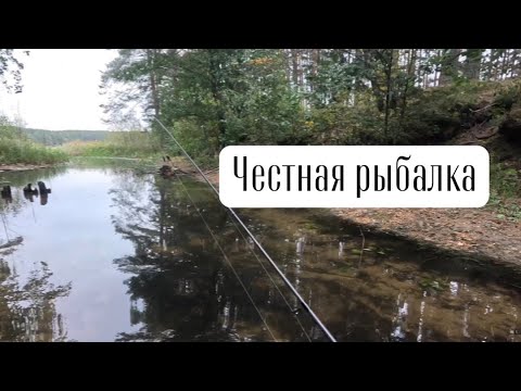 Видео: Честная рыбалка