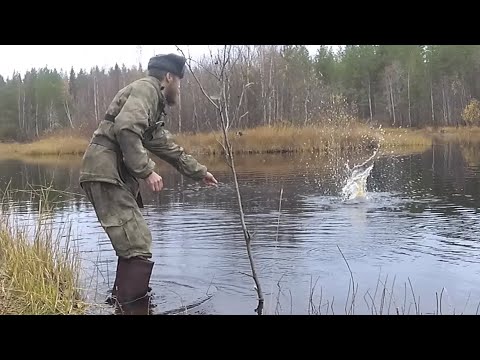 Видео: Рыбалка Закидушки на налима