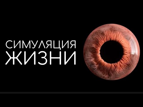 Видео: Возможно мы ошибаемся, реальность не то, чем кажется!