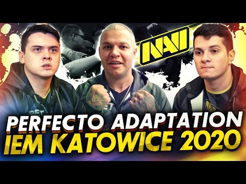 Видео: NAVI Эпизод 9: Дедовщина в Команде, IEM Katowice 2020