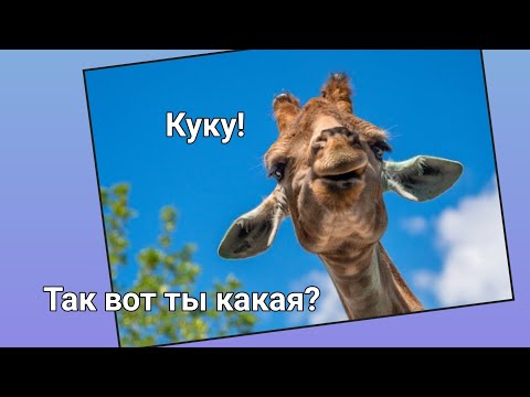 Видео: ❗️СЕНСАЦИЯ в китайском ЗООПАРКЕ 😂Так вот ты какой, СЕВЕРНЫЙ ОЛЕНЬ⁉️