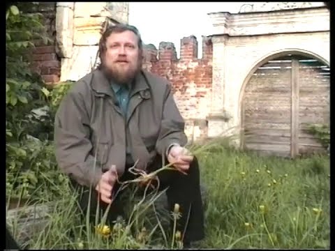 Видео: Целебные растения и их применение, часть 2