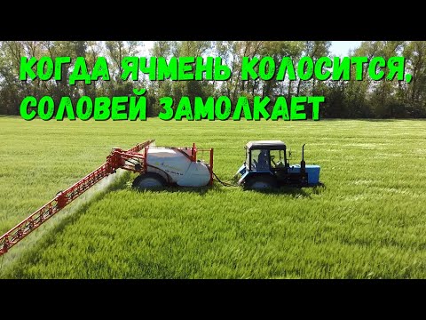 Видео: Увеличил дозировки Препарата на Ячмень / АБАКУС УЛЬТРА / Защита Растений.