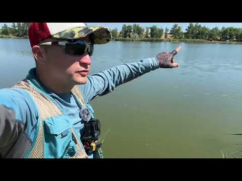 Видео: ДИКА ВОДОЙМА!  Я такого НЕ ЧЕКАВ. рибалка на спінінг