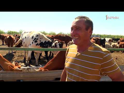 Видео: Деревенское счастье на берегу моря
