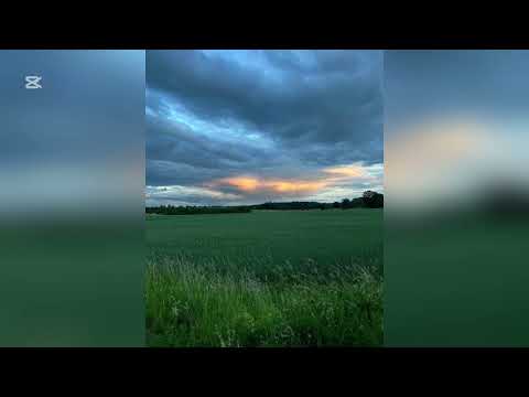 Видео: Ардақ Назаров#музыка#қазақтың жері #хит тик ток #хит 2025