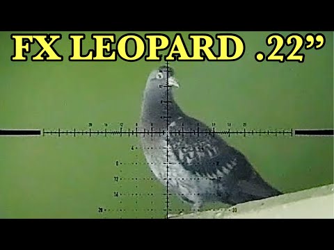 Видео: FX LEOPARD VS. PIGEONS — Тест на ветер!