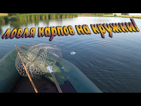 Видео: Ловля карпа на кружки! Рыбалка на летние жерлицы в июле!