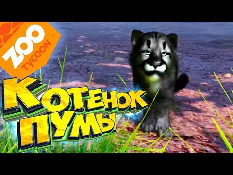 Видео: Чёрный КОТЕНОК ПУМЫ - Прохождение #3 - ZOO Tycoon