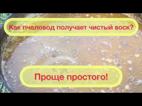 Видео: Получение воска. Самый простой способ.