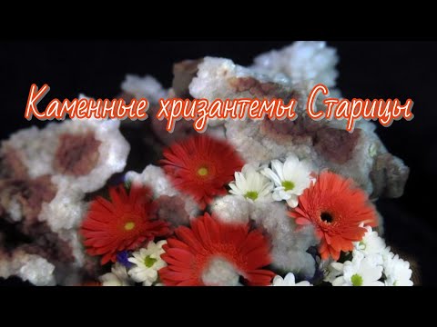 Видео: Старицкий карьер. За кварц-кварциновыми секрециями.