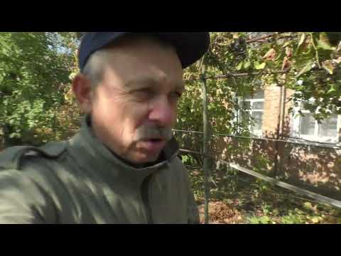 Видео: Не вірив в Біопрепарати, але визнаю що помилявся.