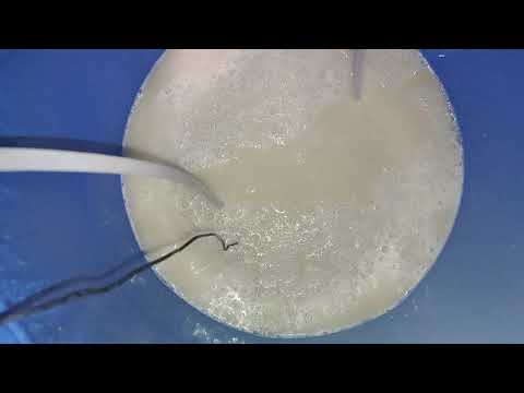 Видео: Мука на ферментах и кодзи 6 медных тарелок Domspirt