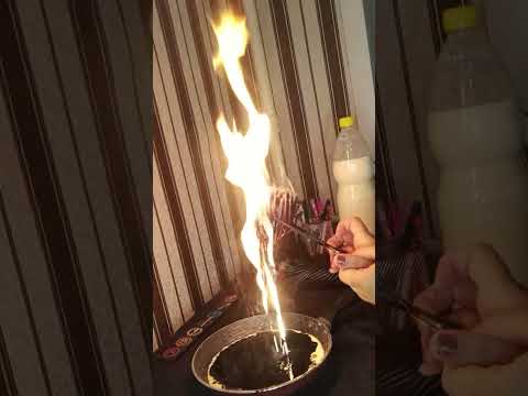 Видео: Жеті ата жолын тазарту