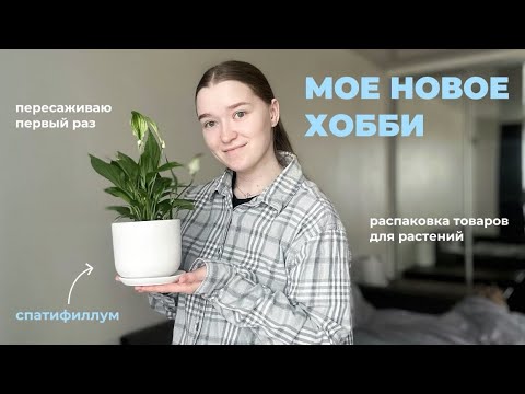 Видео: МОЕ НОВОЕ ХОББИ| РАСПАКОВКА товаров для растений с WB| Пересаживаю спатифиллум и болтаю🪴