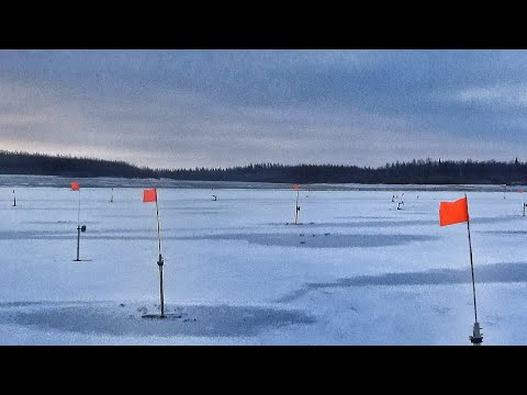 Видео: ОСТАВИЛ ЖЕРЛИЦЫ И ОФИГЕЛ КОГДА УВИДЕЛ! ПЕРВЫЙ ЛЁД ЯКУТИЯ ДЕНЬ 2