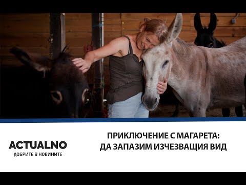 Видео: Приключение с магарета: Да запазим изчезващия вид
