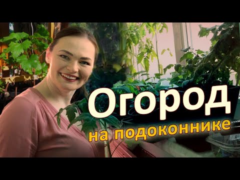 Видео: Огород на подоконнике: Секреты комнатного урожая!