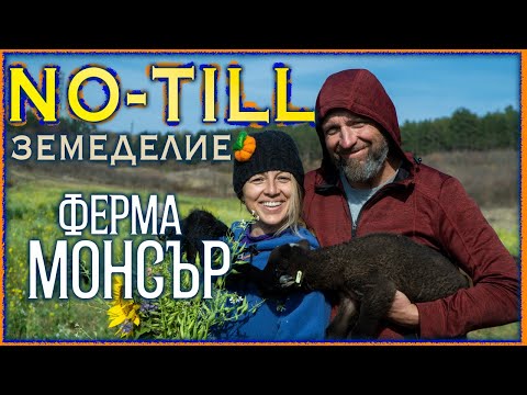 Видео: Първи стъпки в NO-TILL (БЕЗОРАННО) зърнопроизводство - Ферма Монсър